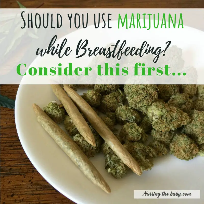 marijuana and breastfeeding considerations